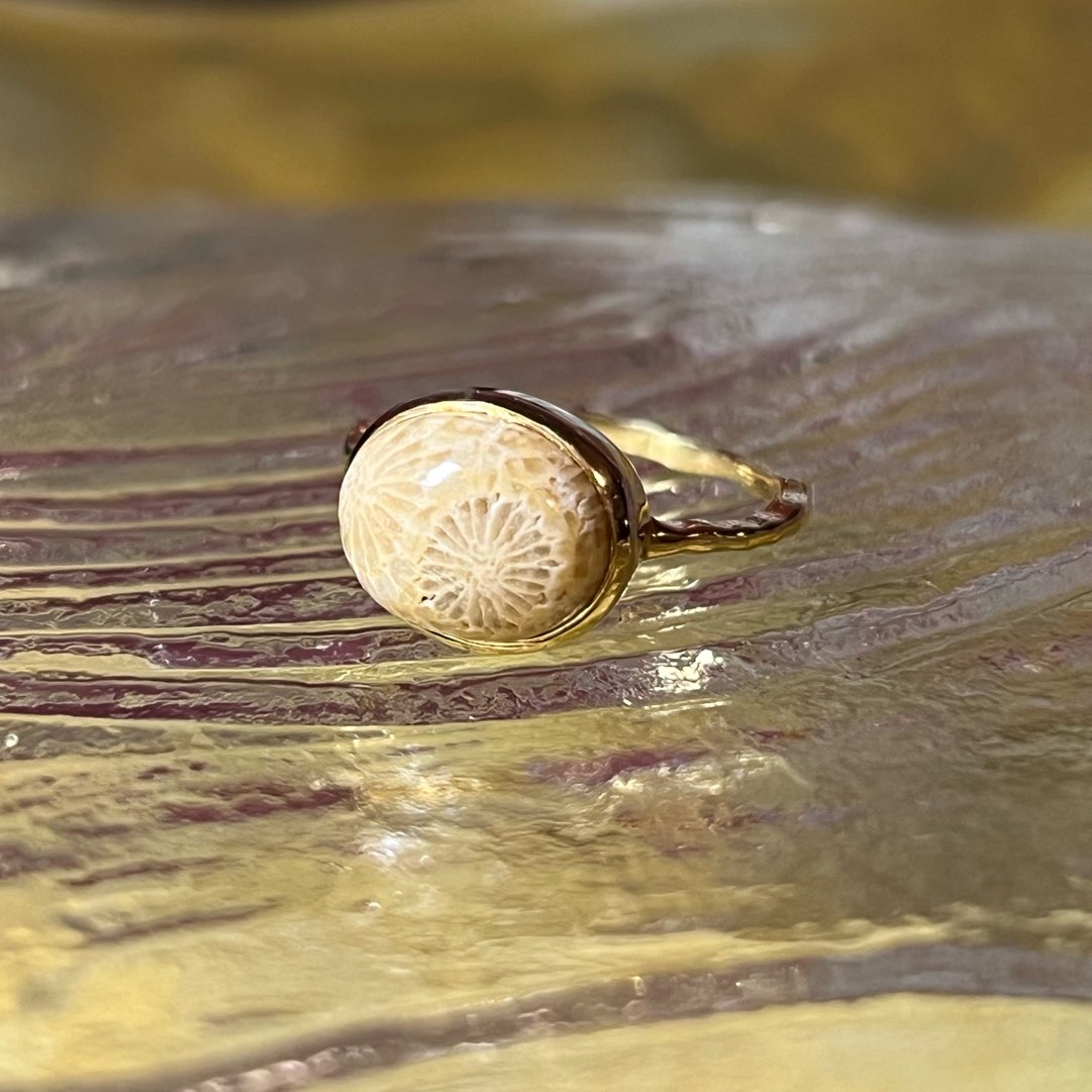 nitrow カラスロゴ ウッドリング 新品未使用 ナイトロウナイトレイド Lumière ring】 fossil coral #13 – Maison de Nijiro メゾンド