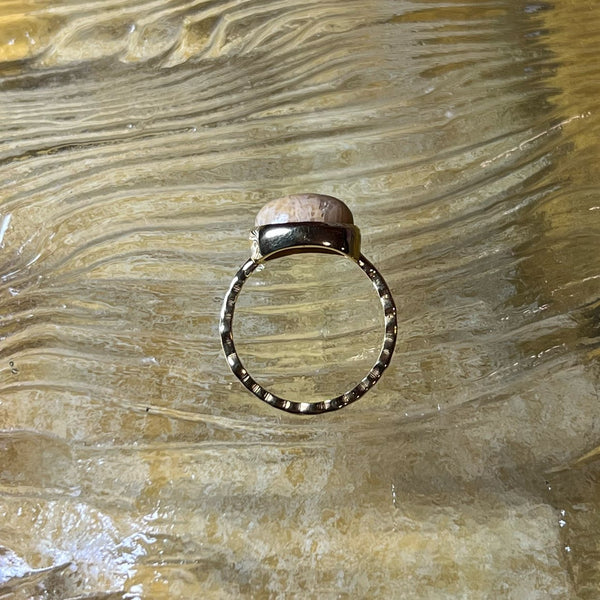 【Lumière ring】 fossil coral #13